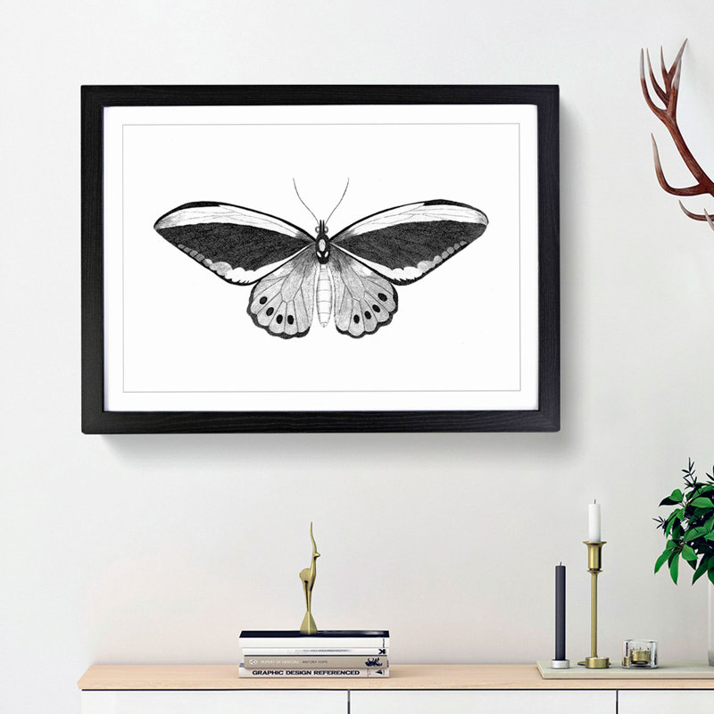 Papilio Butterfly in Black & White by George Shaw - Picture Frame Painting Print on MDF, 36cm H x 48cm W x 2cm D