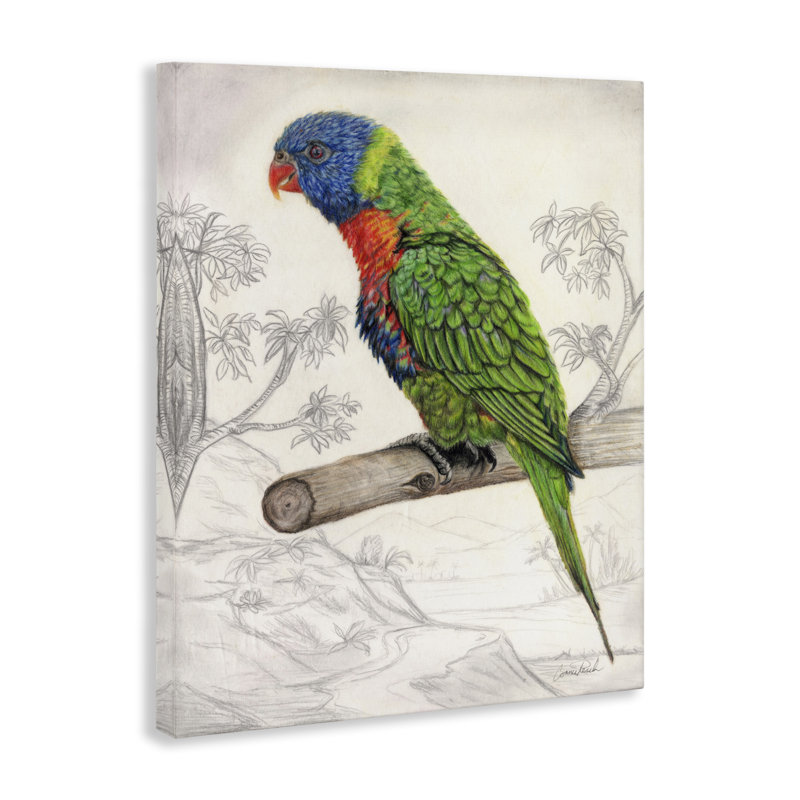 Art mural sur toile Lorikeet par Connie Resch, H 30 po x l 24 po