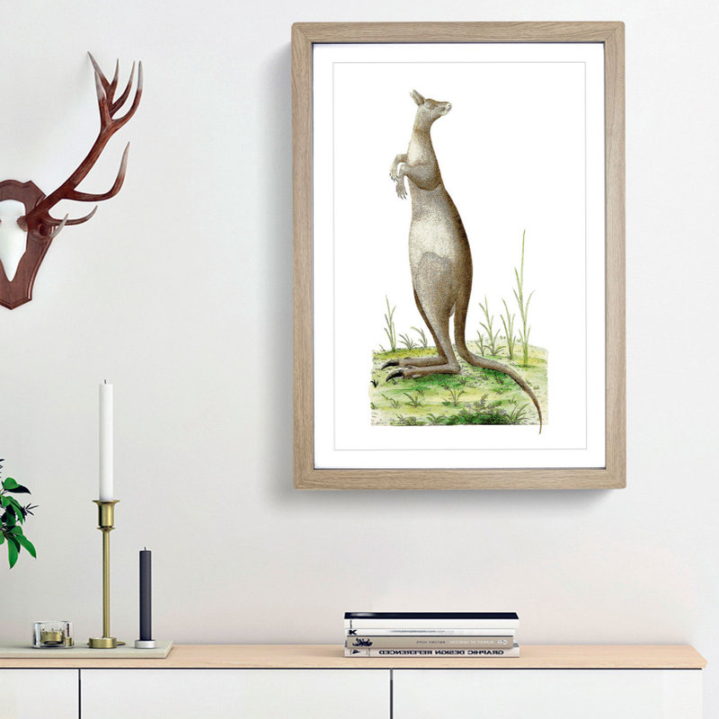 Great Kangaroo by George Shaw - Picture Frame Painting Print, 36cm H x 27cm W x 2cm D, Oak Framed