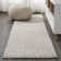 Chaliah High-Low Pile Mini-Diamond Trellis Beige Indoor/Outdoor Rug