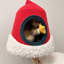 Arbre à chat Santa Hat avec poteaux à griffer pour chats d'intérieur, cadeau de Noël pour les propriétaires de chats