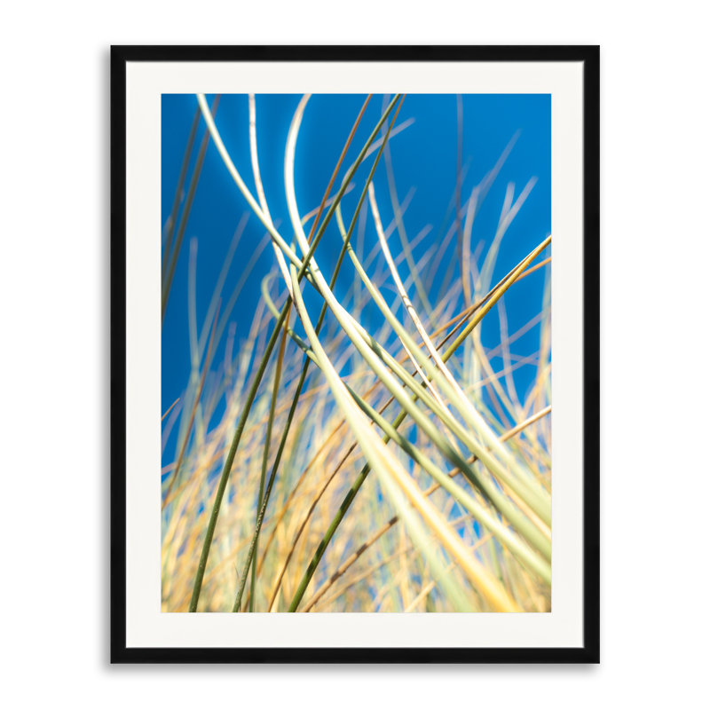 Dune Grasses Print by Petra Trimmel, Black Framed Paper, 30" H x 24" W