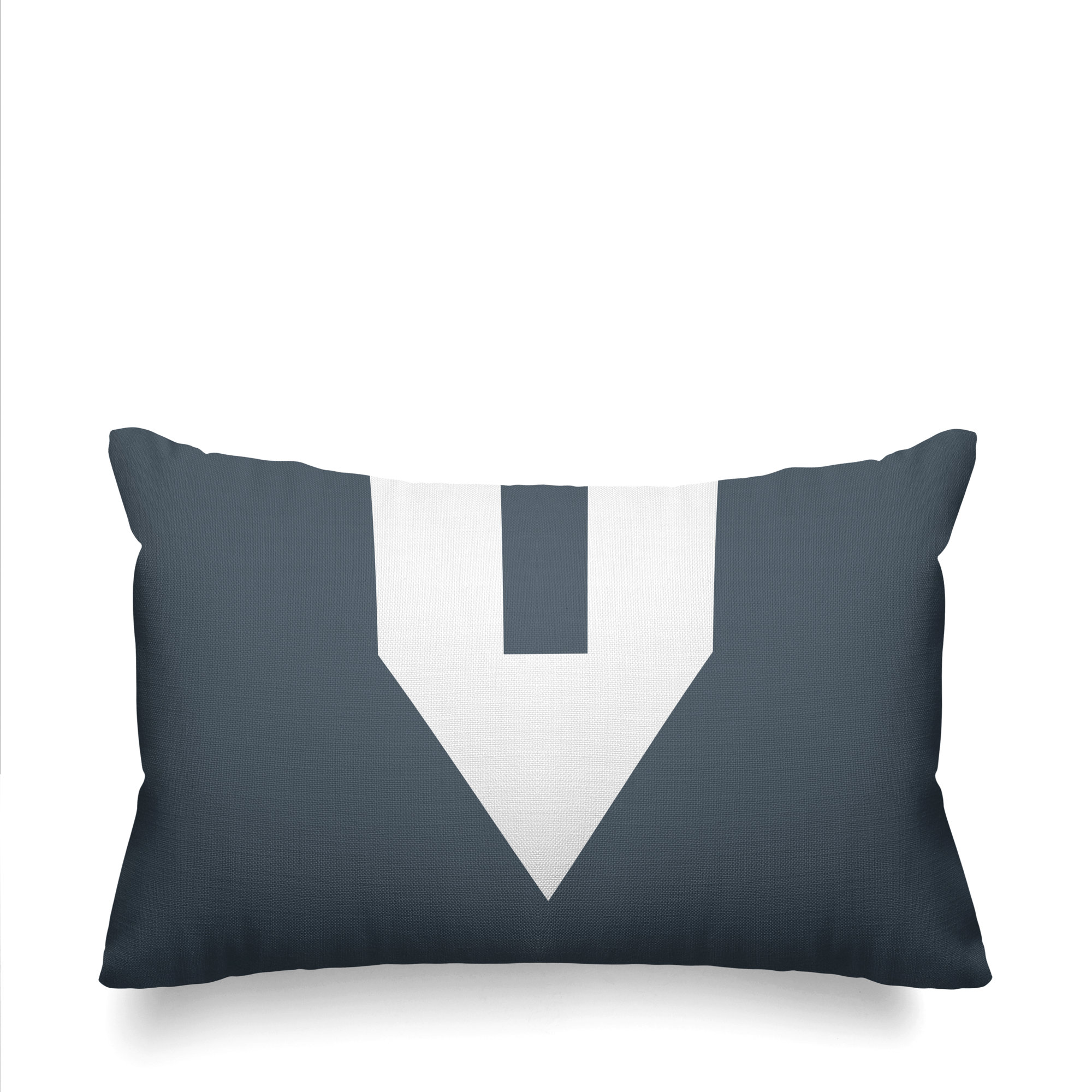 Luella Geometric Indoor/Outdoor Lumbar Throw Pillow, Gray