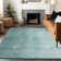 Premium Machine Washable Prisco Teal Rug