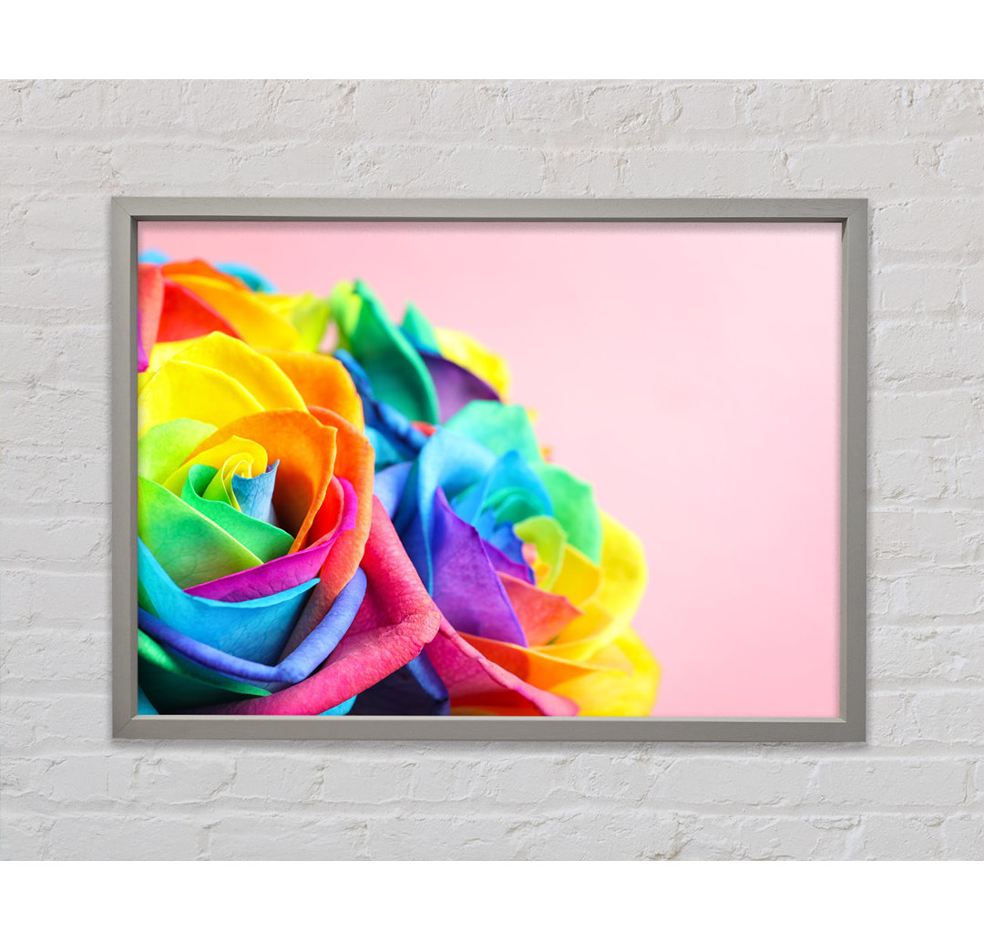 Regenbogen Nahaufnahme Rose - Einzelner Bilderrahmen Kunstdrucke auf Leinwand