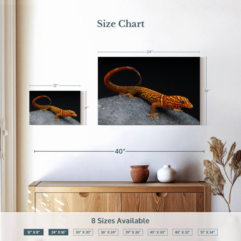 Brampt Gecko, 16'' H x 24'' W