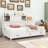 Twin Size Wooden Daybed with Integrated Storage