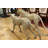 Beus Pair of Golden Plated Cheetahs Statue