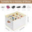 12 Pair Stackable Shoe Storage Box