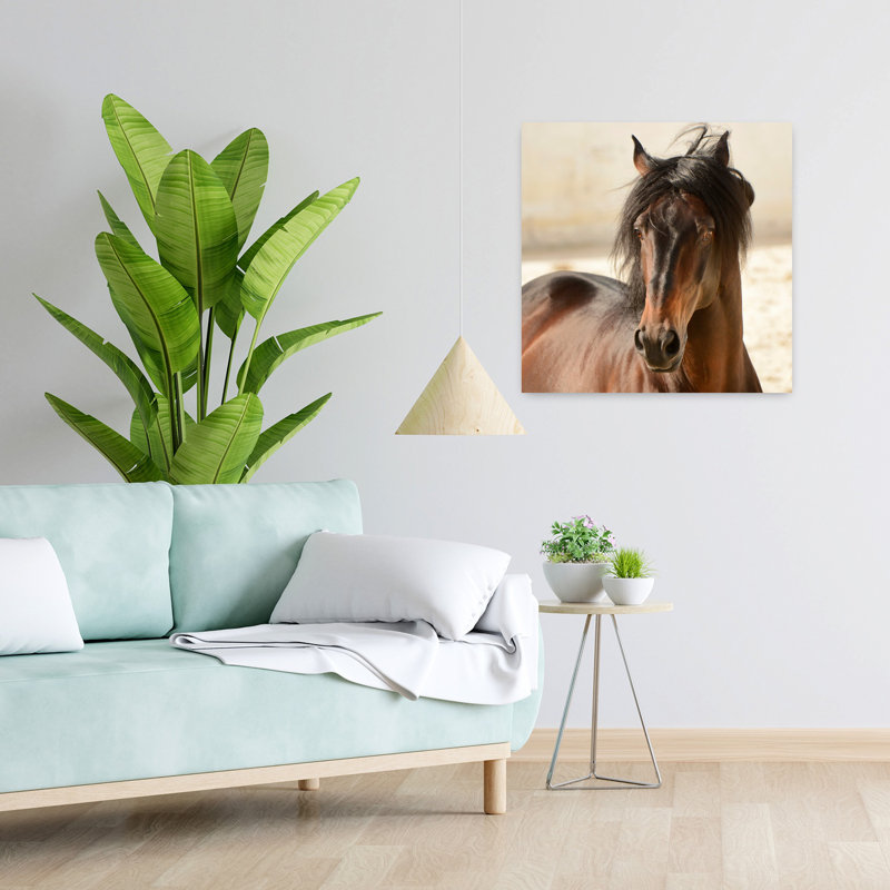 Casanova, cheval contemporain, art animalier, H 24 po x l 24 po