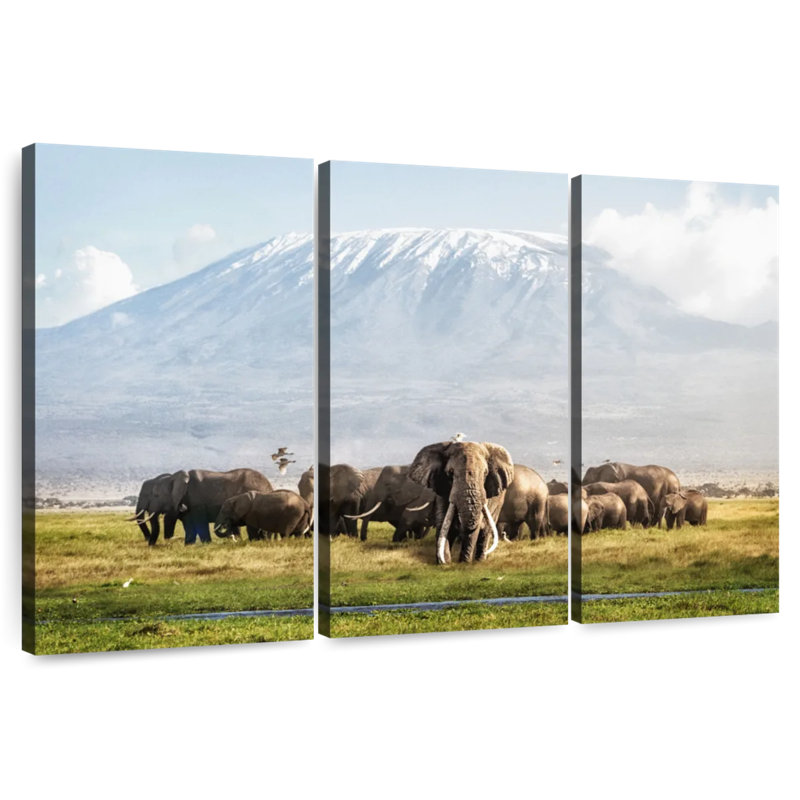 Alvord Tim Tusker Kilimanjaro, 36" H x 57" W