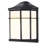 Chaseburg Outdoor Wall Light