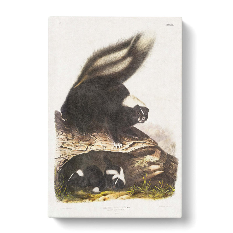 American Skunks - Wrapped Canvas Painting, 76cm H x 50cm W x 3cm D