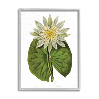 Art floral texturé sur fond de nénuphar rétro