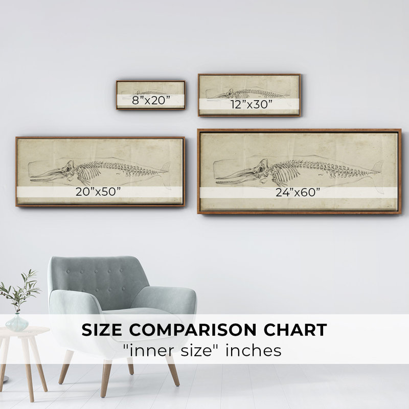 Whale Study II- Framed Canvas, 8" H x 20" W