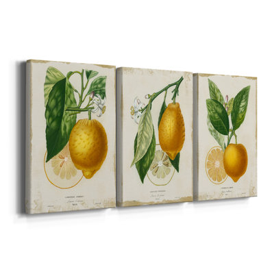 French Lemon I - toile tendue avec châssis sur mesure - 3 pièces
