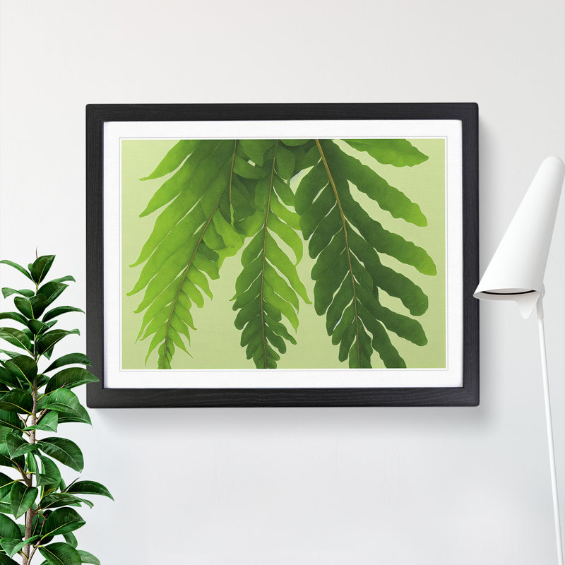Unusual Fern Leaf - Framed Print, Black, 46cm H x 64cm W x 2cm D