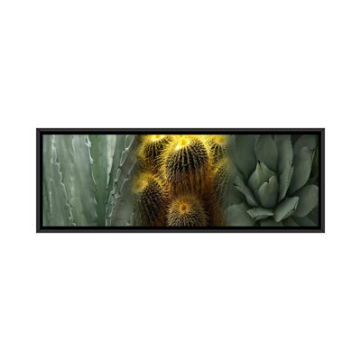 Cactus - reproduction de photo sur toile tendue