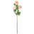 Ranbir Hydrangea Stem-1455323395