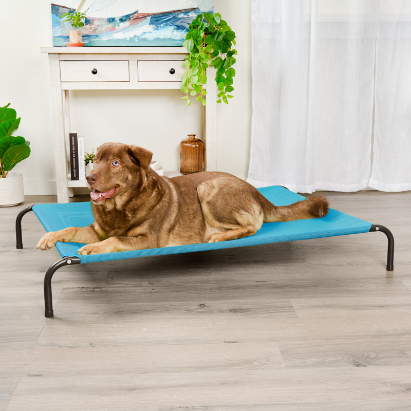 Elevated Cot Pet Bed, Blue, 8" H x 36" W x 54.5" D