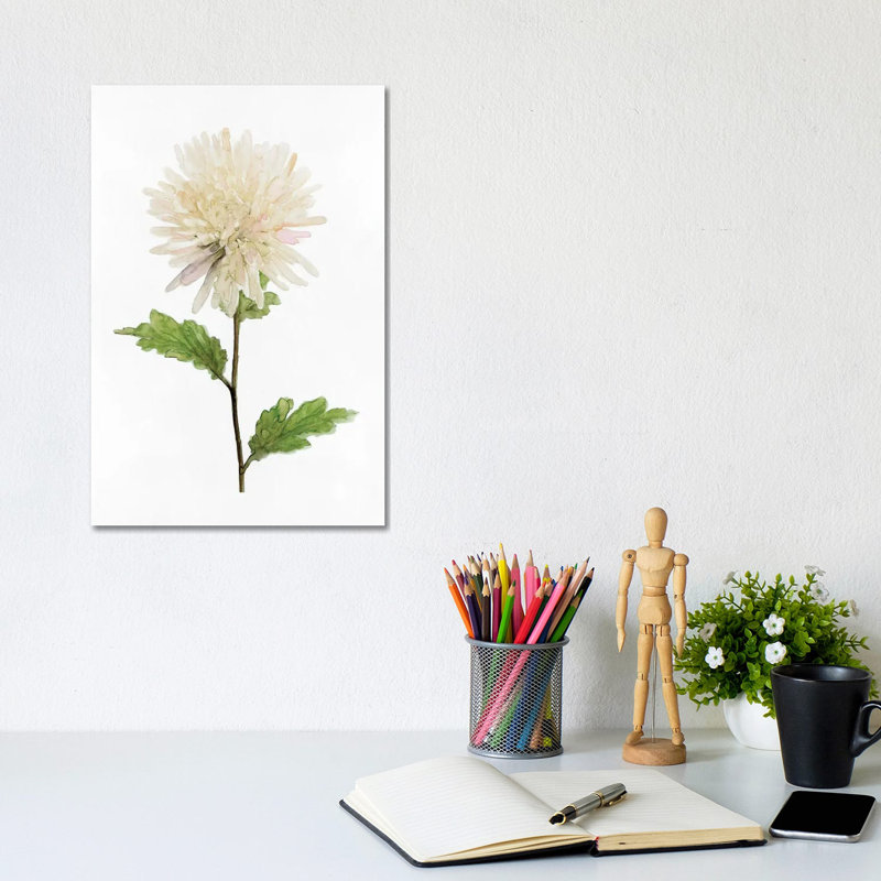 White Blossom IV by Stellar Design Studio - Gallery-Wrapped Canvas Giclée on Canvas, Canvas, 20.32 cm H x 30.48 cm W