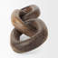 Artemi Large Wood Chain Link-30519810