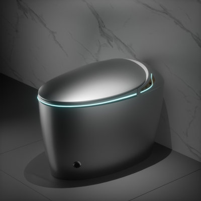 Smart Toilet With Bidet Built In