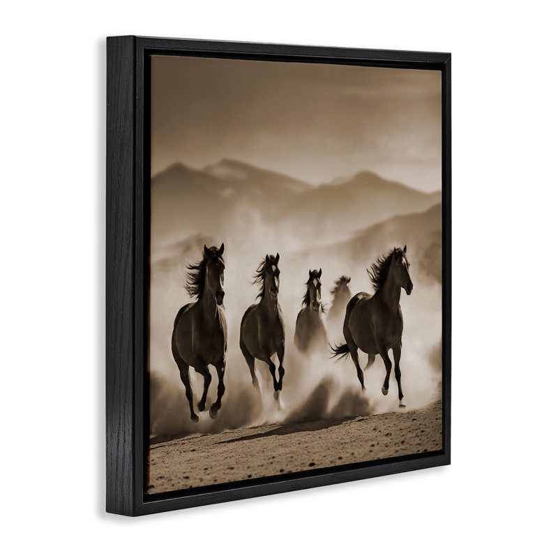 "Trotter Mountain Stallions", art mural sur toile flottante par Noah Bay, Cadre flottant noir de jais, H 25 po x l 25 po