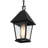 Petitpas Outdoor Hanging Lantern
