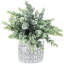 22.60 cm Artificial Eucalyptus Plant In Pot