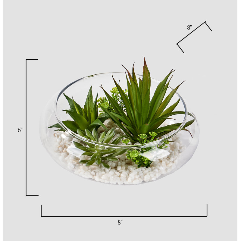 Vaisselle succulente Agave Garden