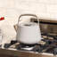 Caraway Stovetop Whistling Tea Kettle-1795050972