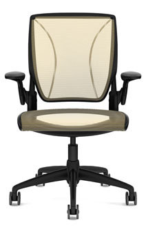 World Mesh Task Chair, Pinstripe Mesh - Cadmium, Black