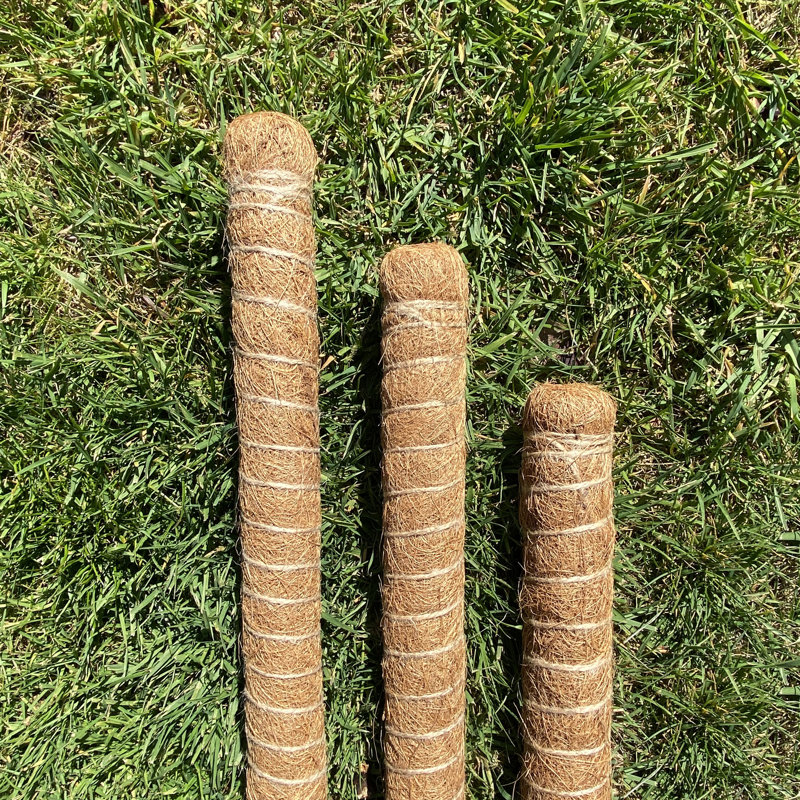 Caven Wood Plant Support