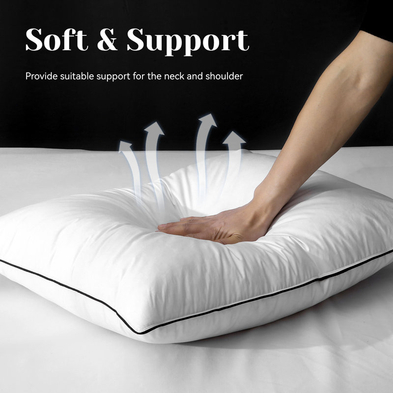 Coussins 100% coton biologique, Standard