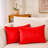 Set Of 2 Throw Pillow Velvet Cushion Covers-649669862-596609903