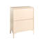 Steel 78 cm W Chest of 4 Drawers