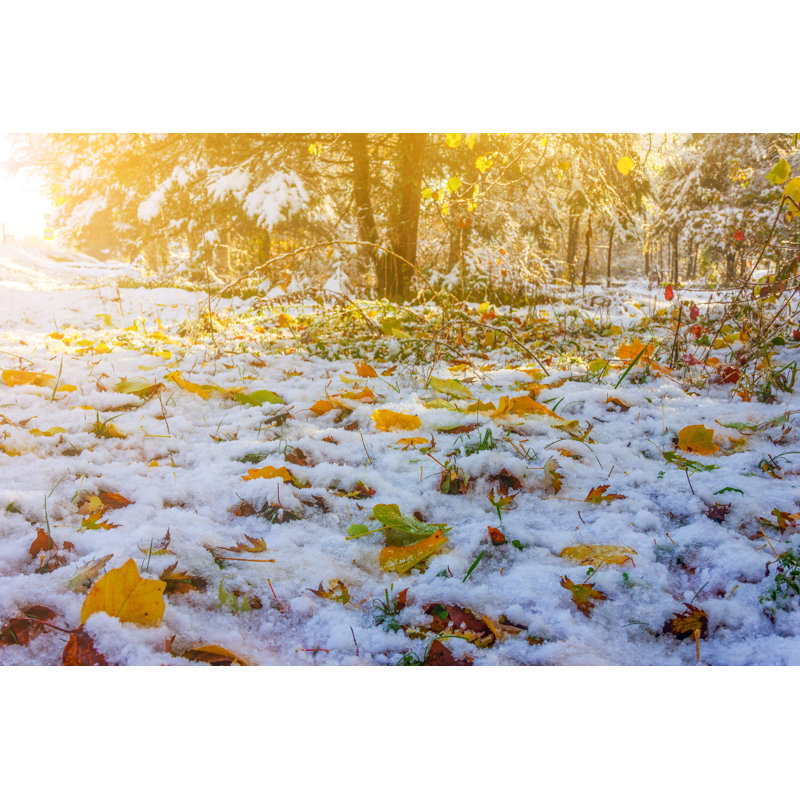 Autumn Landscape - Wrapped Canvas Print, 61cm H x 91cm W x 3.8cm D