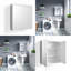 Mairwen 600mm W 680mm H Surface Frameless Medicine Cabinet Mirror 2 Fixed