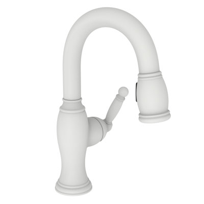 Nadya Single Handle Pull Down Bar Faucet