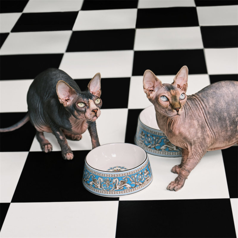 Florentine Turquoise Pet Bowl 17cm 6.6in, Blue Sky