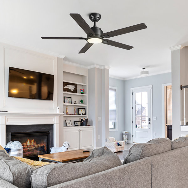 Latitude Run® 48'' Ceiling Fan with LED Lights | Wayfair