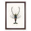 Crimson Crawfish Illustration by Charles D' Orbigny - Picture Frame Painting Print-55490532-55490533