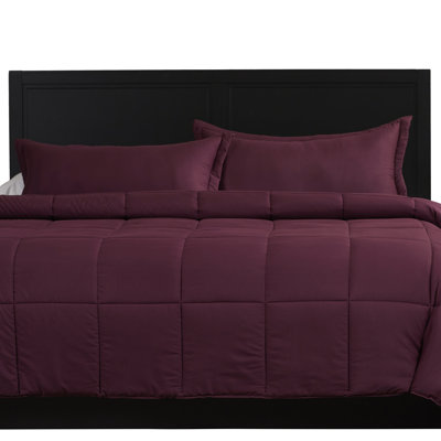 Modern & Contemporary Polyester Comforter
