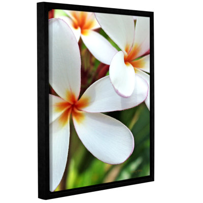Kathy Yates - Wrapped Canvas Photograph