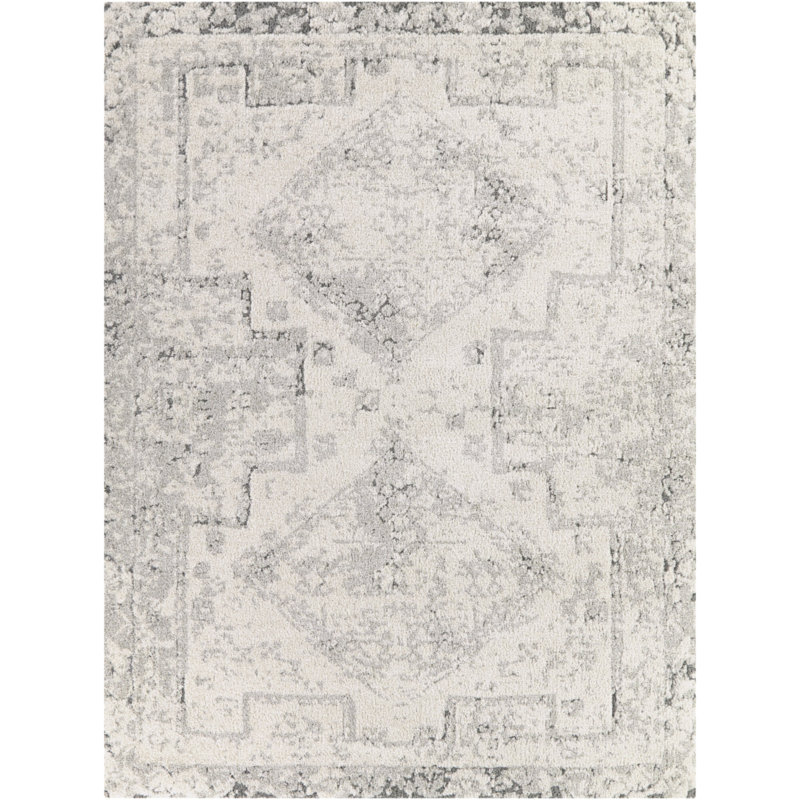 Hilaeira Grey Distressed Traditional Area Rug, Rectangle 5'3" x 7'