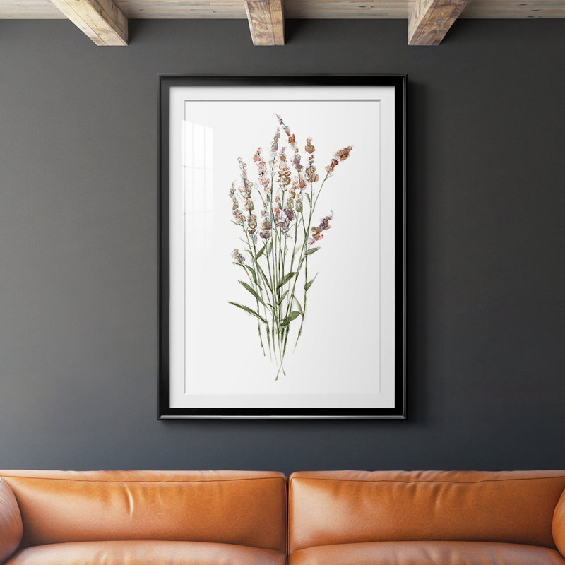 Reproduction encadrée de qualité supérieure Dicat Botanical II - prête à être suspendue, H 24,5 po x l 18,5 po x P 1 po, Noir