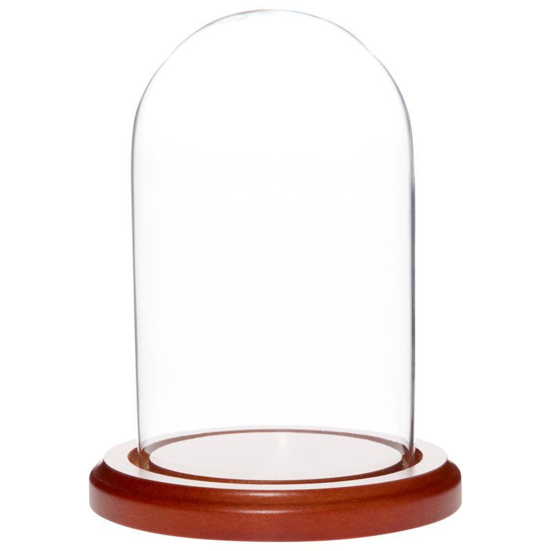 Cloche en verre 3 "x 5" Vucciria, Base en bois aggloméré noyer