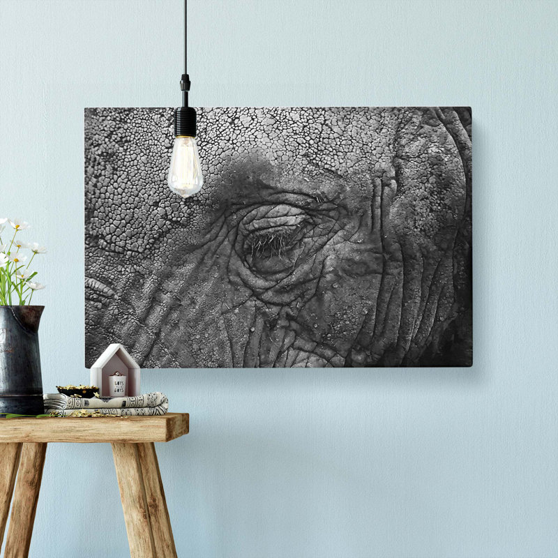 Elephant - Wrapped Canvas Print, 35cm H x 50cm W x 3cm D