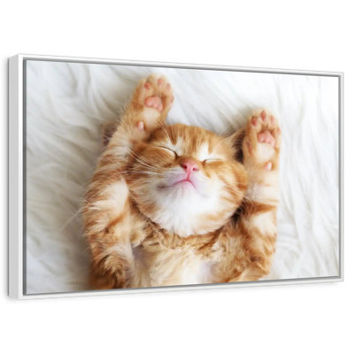 Sleepy Kitty